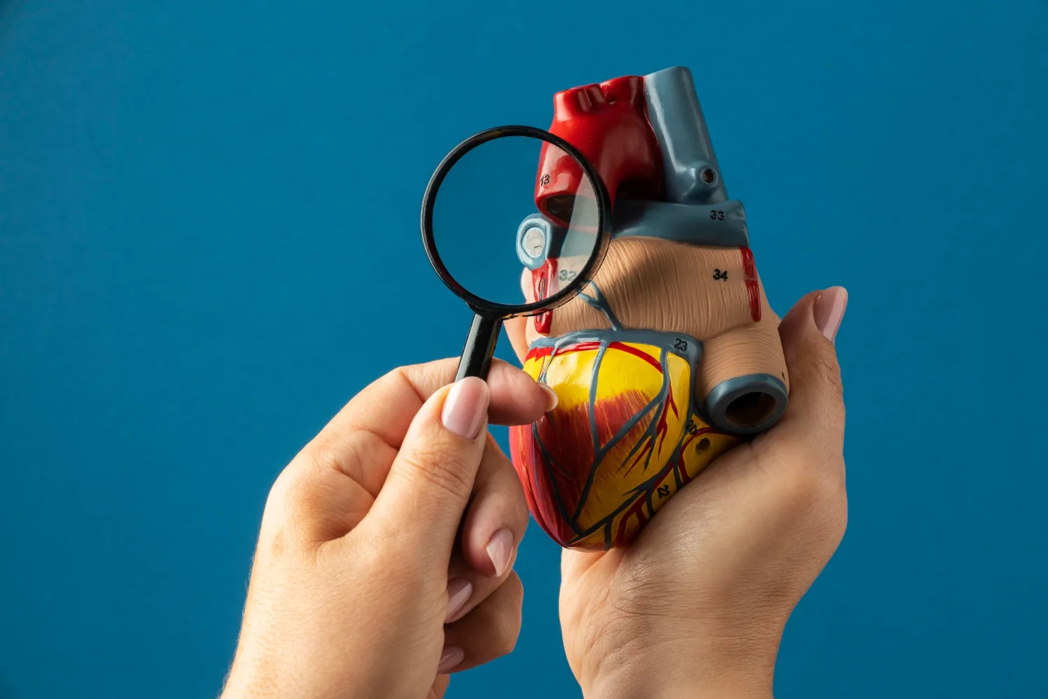 Check Up Cardiovascular en Ciudad del Carmen: Prevención y Diagnóstico con el Dr. Gerardo Mercado Rojas